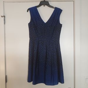 Ann Taylor Loft Blue and Black Ombre Print Dress